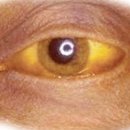 유일사슴목장 이미지