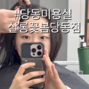 살롱,꽃봄 당동점
