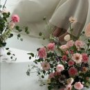 뒤죽박죽 결혼준비1탄_플라워디렉팅 계약후기