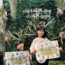 과일나라테마공원3 | 충북 영동 여행 과일나라테마공원 레인보우식물원 바나나정원