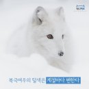 하얀여우 - 남양주시 청학로 78 | 하얀여우
