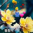 이음작은도서관 이미지