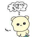 아담사우나 이미지