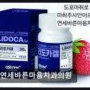 기본이바른치과의원 | 강남구청역 인근 치과 연세바른마음치과의원 편안함과 신뢰를 주는 곳