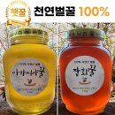 아카시아 - 노원구 공릉로29길 21 | 아카시아