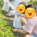 청운농촌체험마을 이미지