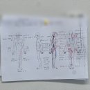 석현정바디케어센터