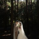 세인목장 | wedding 우리의 분위기를 가득 담은 제주 웨딩스냅 ( 센터피스 스냅 세인작가님 )