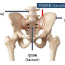 단지장골2 네이버블로그