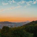 잔디밭