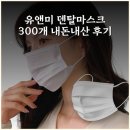 화이트덴탈 | 유앤미 덴탈마스크 300개 내돈내산 후기