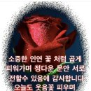 2026년 3월 12일 목요일 산사랑회 출석부 이미지