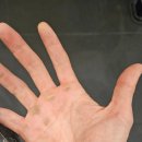 베르사그립 익스트림 사이즈 추천 및 5년 사용 후기 내가 운동하면서 가장 잘 산 명품