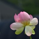 천생연분마을 이미지