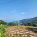 보물섬부동산공인중개사사무소 이미지