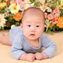 둥이 100일 기념 사진 [셔터구도스튜디오]
