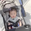 해보어린이집 | 누비앤타보레노 가성비유모차한달사용후기 기내 반입 유모차 추천