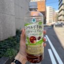 일본 후쿠오카 여행 가볼만한곳 자유여행 코스 버스패스 후기