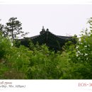 [2004.5.29.] 혜화동에 있는 낙산공원에 홀로 출사를 다녀왔습니다^^: 이미지