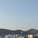 미림횟집 이미지