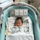 몽고반점 - 용인시 기흥구 평촌2로1번길 23 | 몽고반점