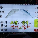 조원일식민어참치