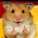 그린트리약국 | 고함량비타민B 챙겨먹은다고 다 좋은 건 아니다