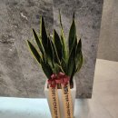 연합소아청소년과의원 이미지