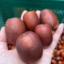 성하농장 이미지