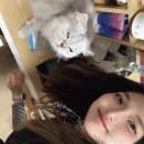 붐 | 레일웨이붐 보드게임 솔직 후기