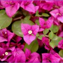 성산별장 이미지