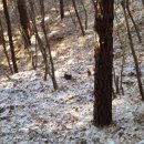 큰골짜기농장 이미지