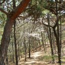 아마존 타이어 이미지