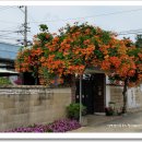 양월2리 이미지