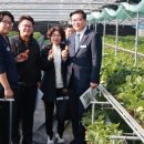 국립원예특작과학원 이미지