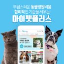 마이펫동물병원 이미지