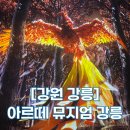 [강원 강릉 / 내돈내산] 사진 찍기 좋은 이색적인 미디어아트 전시 아르떼뮤지엄 강릉