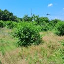 살미면사무소 이미지