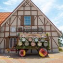 지족공설시장 이미지