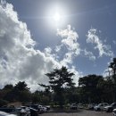 소길역 | 제주 애월 산책할 수 있는 힐링카페 이끼숲소길카페 방문후기