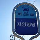제천 숨어져 있는 명소 자양영당, 박달재, 공전역 그리고 장락사 칠층모전석탑