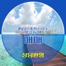 봄날공인중개사사무소 이미지