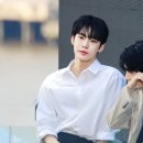 미야옹 이미지