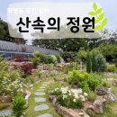 산속정원캠핑장 | 화명동 애기소 계곡 근처 카페 &#39;산속의 정원&#39; 힐링 후기