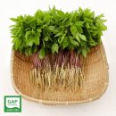 토정환경 쇼핑하우