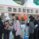 금가돈 이미지