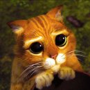 소양세탁소 이미지