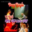 딥퍼플 Daum카페