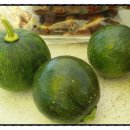 김종성 농장 이미지