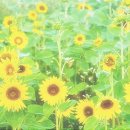 리온무역 이미지